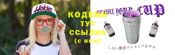 индика Шарыпово